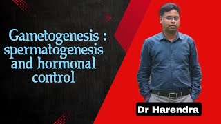 Gametogenesis  Spermatogenesis and Hormonal control  Human Reproduction  DR HARENDRA [upl. by Krutz]