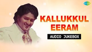 Kallukkul Eeram  Full Album   Bharathiraja  Sudhakar Vijayasanti  Ilaiyaraaja Innisai [upl. by Swain]