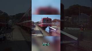 Buffer stops  to stop the uncontrolled train 🚂 shortsvideo facts train [upl. by Chad734]