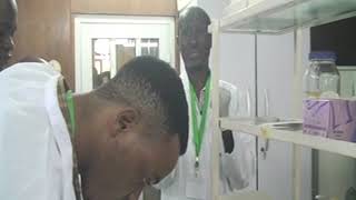 DNA extraction from DBS Nested amp RAPD PCR  3 Dr Fowora and Dr Adebesin [upl. by Ydollem403]