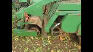 Beet Harvesting 20111 [upl. by Nnylyahs]