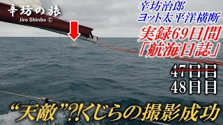 【撮影成功】ヨットに並走する辛坊治郎の“天敵”くじら＆太平洋である時、ない時 辛坊治郎ヨット太平洋横断往路69日間の航海日誌動画48日目～辛坊の旅～ [upl. by Dudley]