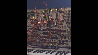 Eurorack Harvestman amp Friends electronicmusic eurorack harvesman industrialmusicelectronics [upl. by Ahar]