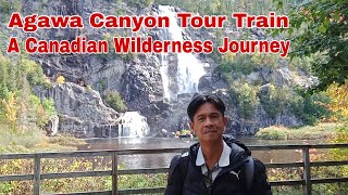 Agawa Canyon Tour Train A Canadian Wilderness Journey [upl. by Ahsimat793]