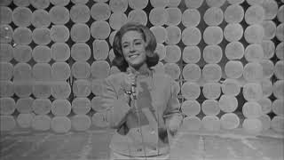 Lesley Gore  Its My Party Music Video [upl. by Macegan485]