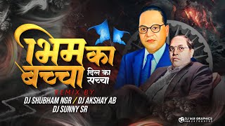 Ek Ek Ye Jaibhim Wala 100 Ko Bhari Hai its Shubham NGR And Sunny Sr Akshay Ab Dj Song Bhimka bachha [upl. by Aicirtac580]