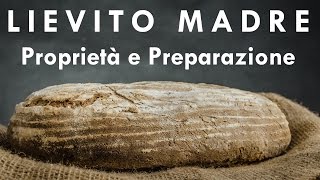 Lievito Madre o Pasta Acida  Proprietà e Preparazione [upl. by Anitra]