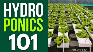 A Beginners Guide To Building A Small Hydroponics System For Your Home [upl. by Onibag]