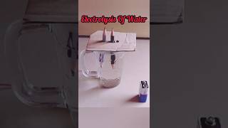 What Happen🤔 During Electrolysis Test Of The Water 💦🔋✏️O2 amp H2 stepbystep process ytshorts ▶️ [upl. by Learsiy]