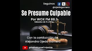 Juez al banquillo quotEl nuevo sistema procesal le pone fin a la opacidad de la justicia federalquot [upl. by Marley425]