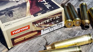 Norma Whitetail 7mm Rem Mag  100 Yard Group Test [upl. by Ogirdor761]