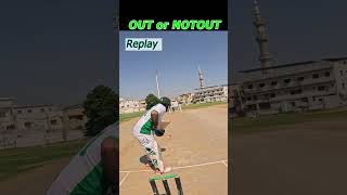 fake Appeal Bowler k sath prank 🤣 cricket shorts circketshort trendingshorts [upl. by Korwin706]