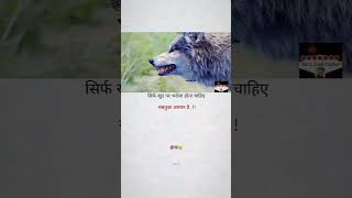 motivation bestpowerfulmotivationquotesinhindi inspirationalquotes love success subscribe [upl. by Ymmor]