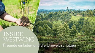 Treedom x Westwing Einen Baum pflanzen für ein besseres Klima [upl. by Kihtrak]