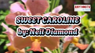 KARAOKE  SWEET CAROLINE by Neil Diamond [upl. by Yezdnil]