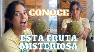 CONOCE LA EXÒTICA FRUTA DEL PAN la cocinamos frita CocinandoconC  YIRA C [upl. by Nazario237]