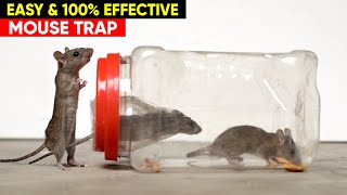 Best amp Easy Mouse Trap  DIY Mouse Trap  Rat Trap Homemade [upl. by Notxed52]