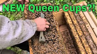 New Bees Get A Full Hive Inspection Nuc Follow Along Ep4  May2624 [upl. by Acinyt451]