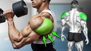 5 Best Rear Delt Exercise BOULDER SHOULDERS [upl. by Goda]