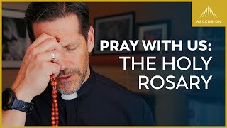 Pray with Us The Sorrowful Mysteries of the Rosary with Fr Mike Schmitz Tuesdays amp Fridays [upl. by Oiramd]