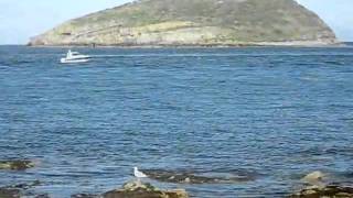 Black Point Anglesey With Puffin Island View North Wales [upl. by Ahkeber]