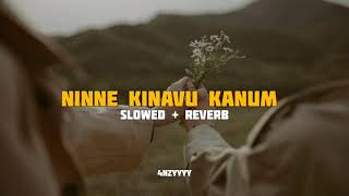 Ninne Kinavu Kanum  slowed  reverb  Aadujeevitham movie song  4nzyyyy [upl. by Ramaj]