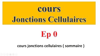 cours jonctions cellulaires  sommaire [upl. by Tades]