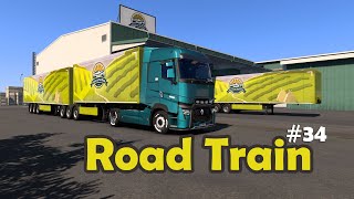 ETS2 Career 34  Road Train [upl. by Diane]