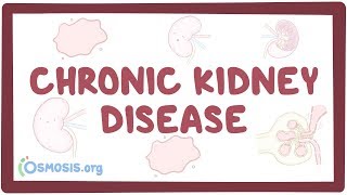 Chronic kidney disease  causes symptoms diagnosis treatment pathology [upl. by Deery]