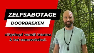 ZELFSABOTAGE uitgelegd vanuit trauma en het zenuwstelsel [upl. by Loresz162]