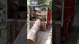 how to load large wood manual forestry wood [upl. by Ut]