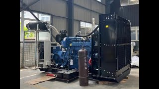 200KW 250KVA LPG Generator [upl. by Nitsed]