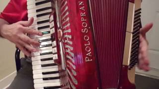 The Godfather Waltz  Nino Rota  Accordion Fisarmonica Akkordeon cover Biagio Farina [upl. by Ashla628]