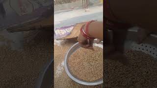 Sieving grains [upl. by Butler]