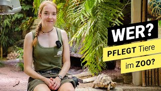 Ausbildung zur ZOOTIERPFLEGERIN wir schauen hinter die Kulissen des Kölner Zoo Terrariums [upl. by Bixler]