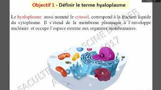 Hyaloplasme 1 [upl. by Verdie]