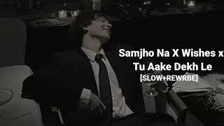 Samjho Na X Wishes x Tu Aake Dekh Le SlowedReverb   Just Slowed [upl. by Geer612]