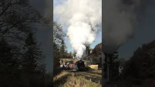 Single Chimney 9F 92134 departs Goathland with the mixed goods on the NYMR train steam [upl. by Pass]