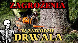 Zagrożenia w zawodzie DRWALA  Okiem ZULa [upl. by Oremo]