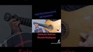 Día Internacional del Flamenco bulerías guitarra clasesdeguitarraflamenca [upl. by Ginzburg113]