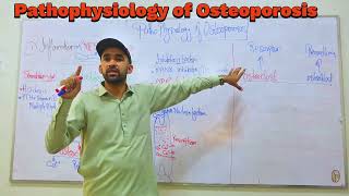 Osteoporosis Pathophysiology by IMTIAZ AFRIDI GBSN semester iv [upl. by Annekahs969]