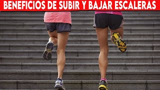 🔴 Beneficios DE SUBIR Y BAJAR ESCALERAS Para La Salud ✅ Porque BAJAR Y SUBIR ESCALERAS [upl. by Akeylah]