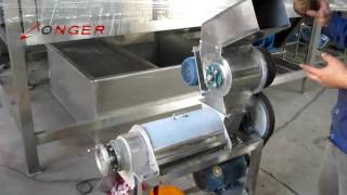 Fruit Juice CrusherJuice Extractor MachineFruit Crushing Machine [upl. by Annavoig66]