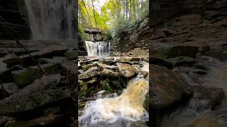 Elakala falls westvirginia nature landscapephotography waterfall [upl. by Gradey]