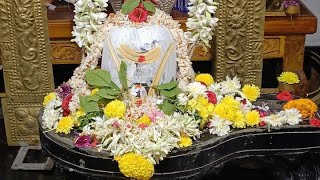 23va adhyayam Karthika puranam parayanam karthikamasampoojalu daily Siva puja tho parayanam [upl. by Enitsirhc]