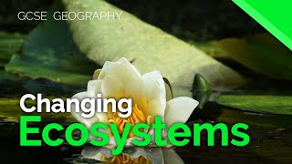 Changes in ecosystems  AQA GCSE 91 Geography [upl. by Harland]