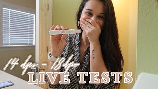 Live Pregnancy Tests 14 DPO  18 DPO  Chemical Pregnancy  TTC 2 [upl. by Bronder]