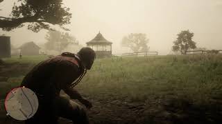 It Is Almost Impossible to Read Tilly’s Farewell Letter Post Game in Red Dead Redemption 2 [upl. by Etnoid]