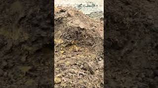 vermicomposting smartphone trending nature [upl. by Ellan]