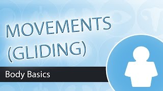 Movement Types Gliding Movements [upl. by Enelehs]